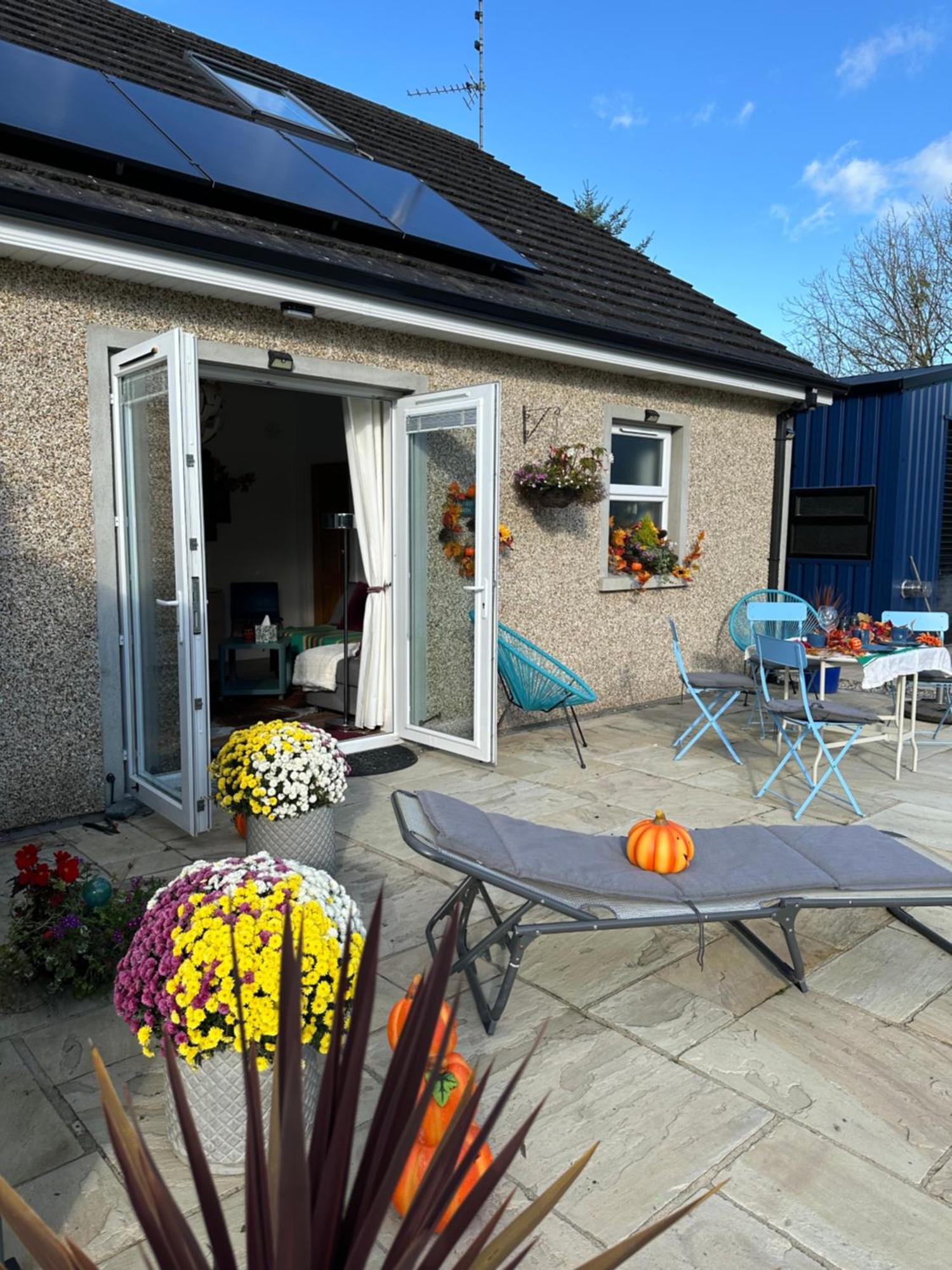 Forest Path Luxury Studio Apartment With Large Bedroom Bathroom And Sauna Sleeps Up To 4 Ballynahinch Exterior foto